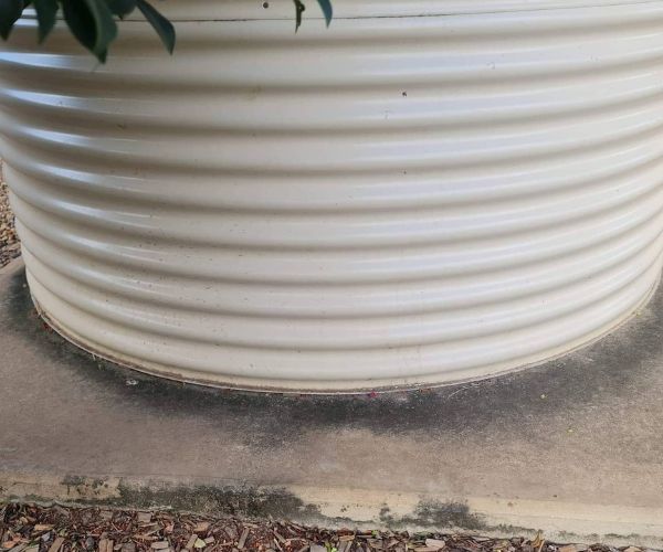 Torbanlea Home Water Reservoir Inspection Before Pressure Cleaning